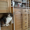 身体のメンテナンスに余念なし