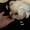 写真で残したいこと。