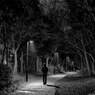 闇を凝視する。——Sony FE 70-200mm F4 G IIで歩く、夜の遊歩道
