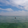 もうすぐ海水浴シーズン到来です