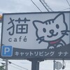 猫カフェ キャットリビング ナナ(香川県)