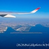 西へ北へ…若い世代は旅行中✈️