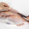 【シマノ】PEラインも魚も切れる万能釣りハサミ「スパシザーラージ」発売！