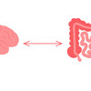 オランダ　うつ病と腸内細菌の関係の研究