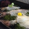 河太郎 呼子店｜透明な甘さと驚きの歯ごたえ！イカ活き造り定食を体験
