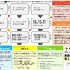 あなたにオススメの「素数大富豪の楽しみ方」判定チャート