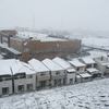白雪のガーデンコート朝霞⛄