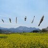 長野市-小川-鬼無里-戸隠-信濃町-斑尾-飯山-北志賀-長野市(176km)