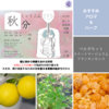 【二十四節気の香り養生】秋分（しゅうぶん）：2024年は9月22日夜～過ごし方とイメージする香り