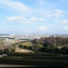 「神奈川県立いせはら塔の山緑地公園」・・・弱者から立ち現れた原点を思い出しながら歩く