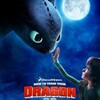 　『How to Train Your Dragon』