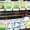 「グリーンプラザ山長（奈良県生駒市） - スイセン球根12選（2025年9月13日）」
