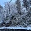 3/8深夜から雪❄️朝6時雪☃️雪かきは大変😮‍💨