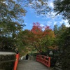 【京都】大原三千院