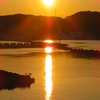 昨日の綺麗な夕日と夕焼け、そして今朝は‥