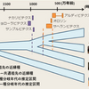 ヒトとチンパンジーの分岐点