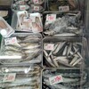 １０月７日（土）河西鮮魚店