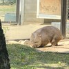 小さな動物園へ行ってきた