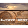 素人投資家の日本株投資(含み損との闘い)【2025年4月の運用状況】MINIPOCHI’s diary