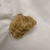 アルバ産白トリュフ届きました。