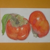 柿の絵を描く