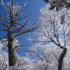 2009年2月21日～22日、大峰・弥山、八経ヶ岳幕営山行