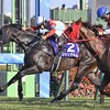 競馬初心者必見☆馬券予想🔥〜スプリンターズS〜秋G1開幕戦！スプリント女王の誕生に期待！