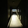 押しかけ俳句講義