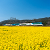 春爛漫【菜の花✖️近鉄特急】・名張市矢川にて撮るのだ！