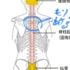 先生、睡眠薬辞めれました。