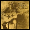 #0253) THE CLASSIC RECORDINGS / Blind Willie McTell 【2010年リリース】