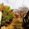 どこかへビューンと赤湯温泉旅 2日目　【20231123~1125】