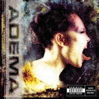Rage Against The Machine 『Rage Against The Machine』(1992)｜世界