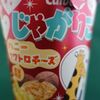 じゃがりこ　その六十九　〜数量限定　ハニークワトロチーズ〜　