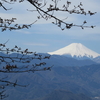 生藤山