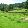 【イギリス湖水地方旅行】三日目：Windermereからバスに乗ってGrasmereまで。