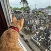 メモ　足利フラワーパークへの道のり