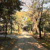 わたしと神社とモーニングその7