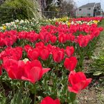 湯殿川沿いを片倉城跡公園まで