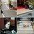 暑中お見舞い申し上げます👍 【熊野街道】猫街道