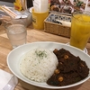 KOSUGI CURRYでライブ感傷(観賞)