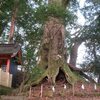 高原熊野神社　倒神木　彫刻　龍神像