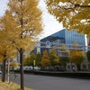 2026.11.23　つくばマラソンと紅葉