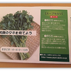 鍋にしよう！