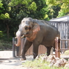 小さな動物園