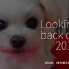 368食目「Looking back on 2018」2018年、1年を振り返って。