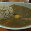 西新橋　カレー屋　Nagafuchi（ながふち）