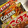 大根カレーを作りました！そして４コマ！「のび太のカラオケボックス」