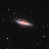 おおぐま座の銀河M82