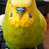 １月８日の相場を見てみたよ　チュン